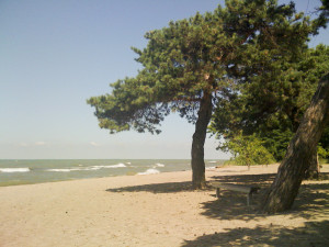 Polish Beach scene in Colchester, Lake Erie - Essex, ON